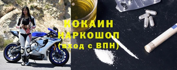 бошки Дубна